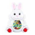 Springtime Water Game - Bunny and Duck - Set of 6