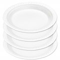 Readi Foam Plates