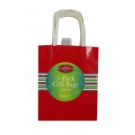 Medium Gift Bags - 5 Pack