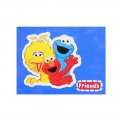 Sesame Street Pillowcase