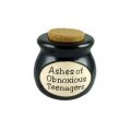 Ashes of Obnoxious Teenagers - Novelty Jar