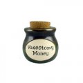 Vasectomy Money - Novelty Jar