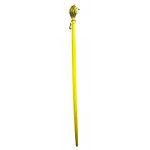 Wooden Walking Stick - Lion Head - 48"