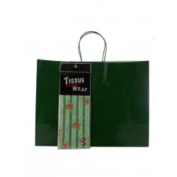 12 Large Green Gift Bags w/ Tissues - (1dz. Total)