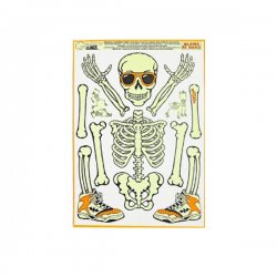 Halloween Skeleton Cling - Glow in the Dark Skeleton Clings