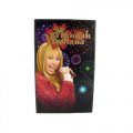 Hannah Montana -Rock the Walls - Fireworks Wall Art