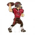 Tampa Bay Buccaneers NFL Light-Up Animated Player Lawn Decoration (44")