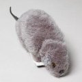 Furry Rat with Realistic Tail