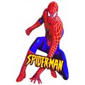 Spider-man Sticker Decal