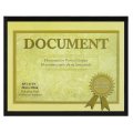 Document Frame - 8.5" x 11" Award and Diploma Frame