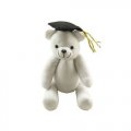 9 1/4" Autograph Graduation Bear