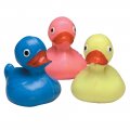 Ducks for Duckie Pond-24 Pack