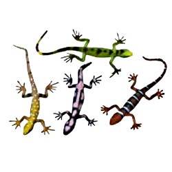Toy Lizards - 12 Pack of Assorted 6" Lizards