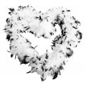 Long Feather Two Tone Boa Costume