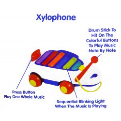Junior Musical Instruments Xylophone